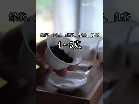 Beginner Tea Brewing Guide - Master Perfect Tea in 5 Minutes (Step-by-Step Tutorial)