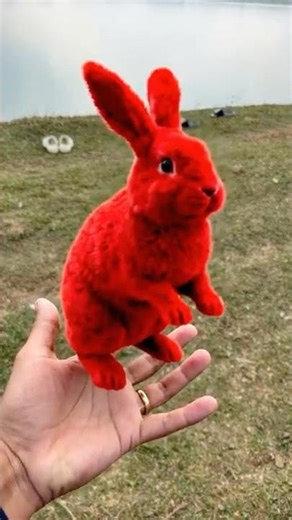 Transforming Into a Cute Little Bunny 🐰✨ | Adorable Magic Trick #cute