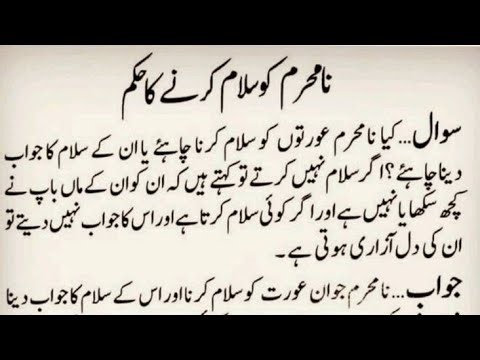 Live Stream Hub is live!