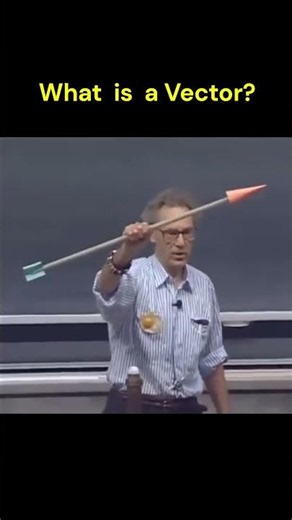 what is a vector?