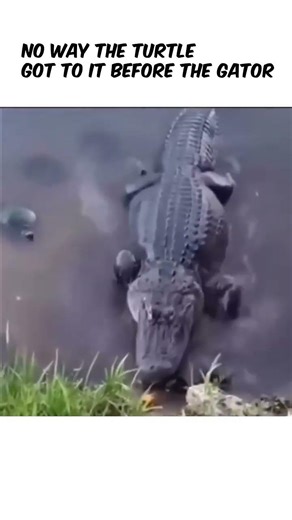 Laugh Until You Cry at This Hilarious Comedy Moment 😂💀 #fyp #shorts