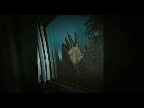 What Bigfoot Really Is...This Footage FINALLY Reveals The Incredible NEW Proof!