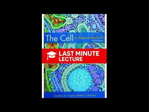 Cell Regulation & Signaling | Part IV – The Cell: A Molecular Approach (7th)