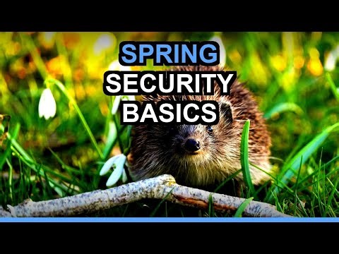 Java Spring Security Basics | Authentication & Authorization