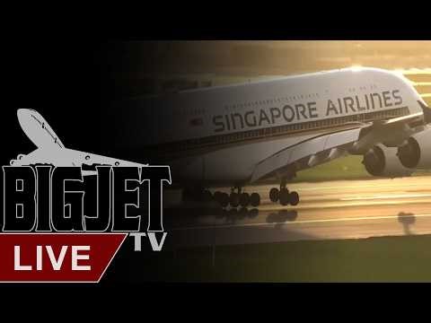 LIVE: London Heathrow Airport