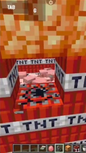 Minecraft TNT explosion 💥 and pig end
