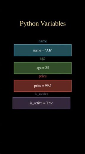 Python Variables = Data Containers 🗃️ Every Beginner MUST Know! #Shorts