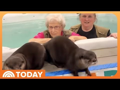 See 100-Year-Old Woman Fulfill Her Dream to Swim With Otters