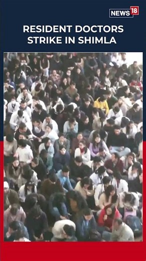 Shimla Resident Doctors Strike Over Termination of Dr Raghav Nirula, Demanding Revocation | News18