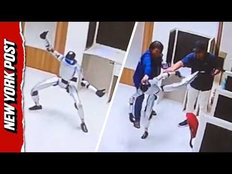 Rogue Robot Launches Kung Fu Kicks, While Handlers Attempt to Subdue It