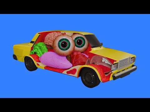 How to Drive a Car