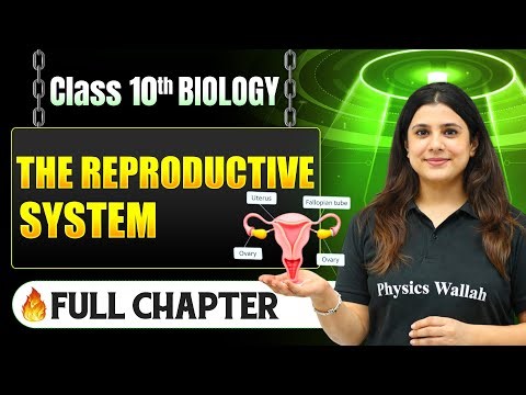 The Reproductive System Complete Chapter in One Shot | Class 10 Biology | ICSE Board