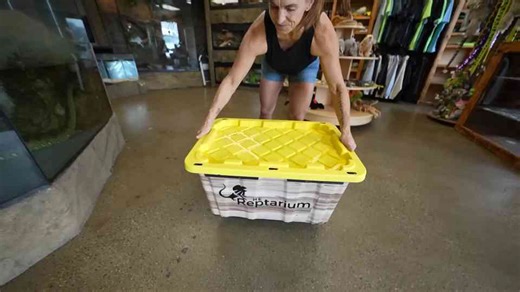 “They were just added” then the pond started to change