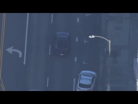 Suspect in stolen car leads LAPD on police chase