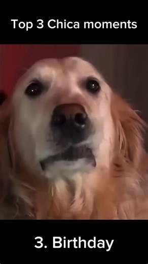 Top 3 Funniest Chica Moments with Markiplier