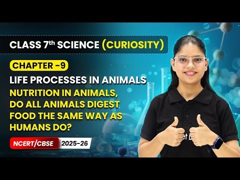 Nutrition in Animals (Part 2) - Life Processes in Animals | Ch 9 | Class 7 Science Curiosity | CBSE