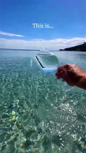 The water here is just unbelievable, this video does not even do it justice 🌊
