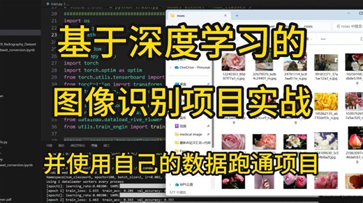 基于深度学习的图像识别项目实战，并更换自己的数据进行模型训练！神经网络/Resnet/ViT
