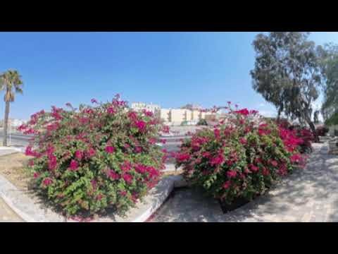 تصوير حديقة الأندلس بتقنية ٣٦٠