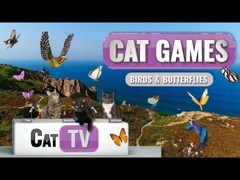 Cat TV | 🦋 Peaceful Birds and Butterflies with Calming Music | Relax My Cat 🐱 | 8 Hours