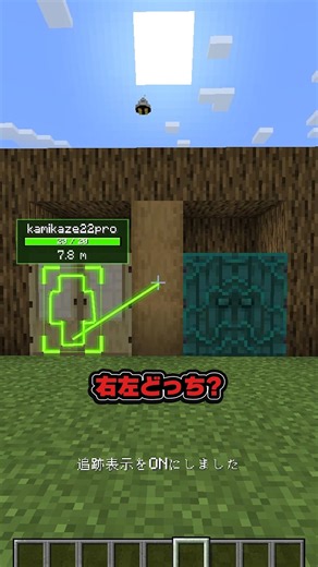 右？左？どっチート