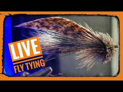 Fly Tying with Nimby! Goddard Caddis! Techniques and Materials to catch more Trout.