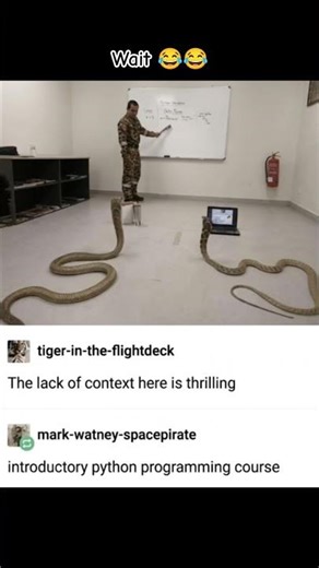 Real Python Programming Class 💀🐍 #shorts