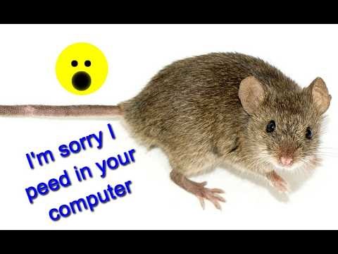 This Stored Computer Failed Immediately | Here's Why