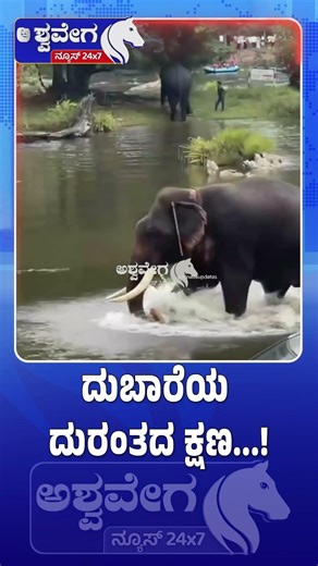 ದುಬಾರೆಯ ದುರಂತದ ಕ್ಷಣ.! | Elephant D*ath Shock