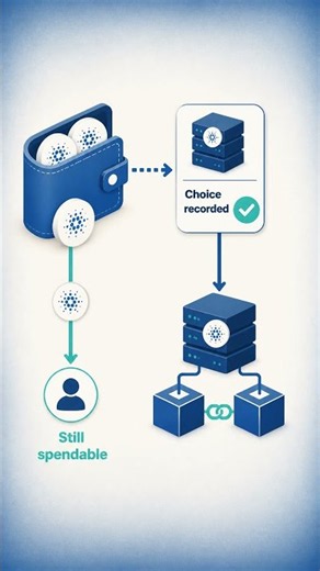 What Is Cardano? How ADA Staking Keeps Your Coins Spendable