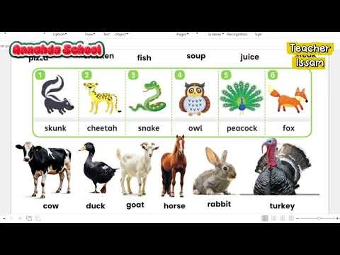 2nd Grade English: Unit 2 and 3 Summary