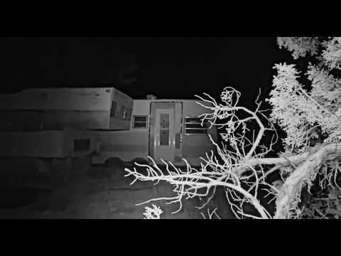 Watch This INTENSE New Super Clear Bigfoot Footage...One Of The MOST Disturbing Videos Ever!