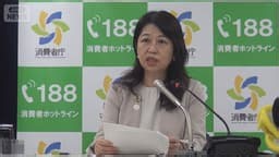 消費者庁が不正アクセスに関して注意喚起　消費生活センターなどに約180件の相談 - 最新の経済ニュース【随時更新】 (ニュース) | 無料動画・見逃し配信を見るなら | ABEMA