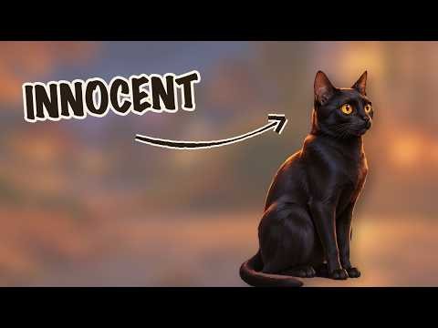 Why Being a Black Cat Is Harder Than You Think (Especially at Halloween)