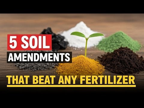 5 Minerals that SUPERCHARGE Your Harvest in Just 30 Days