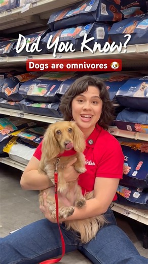 Did you know that dogs are omnivores just like us? They need their veggies too! 🐶🥗 #PetSmart