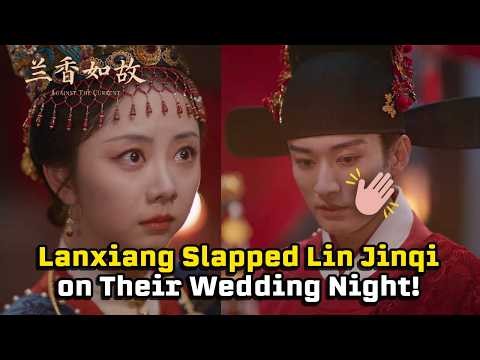 Lanxiang Slapped Lin Jinqi on Their Wedding Night!【Against The Current】| Liu Xueyi, Tan Songyun