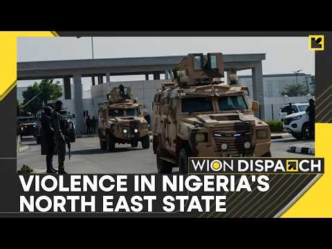 Nigeria: At Least 29 Killed at Football Pitch | WION Dispatch