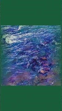 IIR — Ambient | 2026-04-20 #Shorts