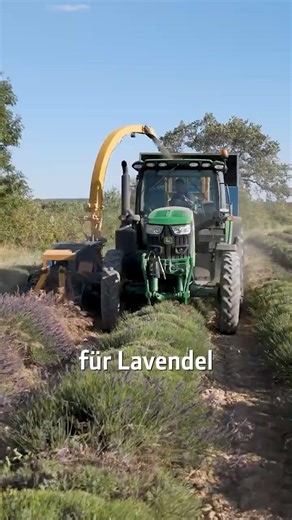 Effizienz trifft Natur: Moderne Lavendelernte - Farm Vibes