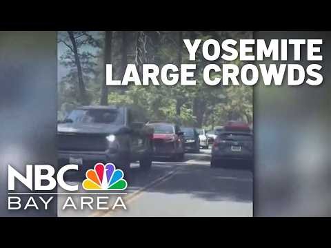 Large crowds expected at Yosemite throughout summer