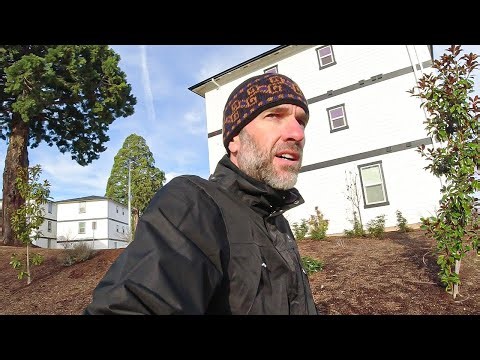 My Bank Was Hacked | How to Stop Fraud, Scams & Theft