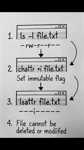 This Linux Trick Makes Files Impossible to Delete 🔒