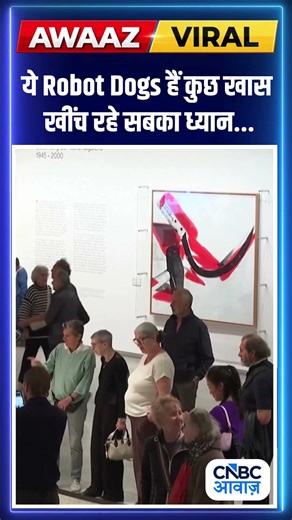 ये Robot Dogs हैं कुछ खास, खींच रहे सबका ध्यान... #shorts N18S