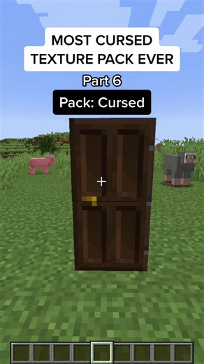Unpacking the Most Cursed Minecraft Texture Pack - Part 6