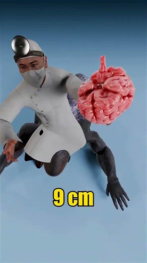 Shocking! Baby's Brain Size vs. Alien Brain Evolution: Unveiling the Truth