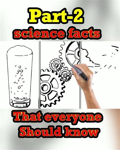 What is a Solution Basic Science