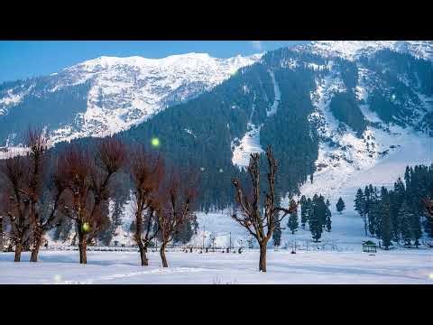 Gentle Chinese Relaxing Music | Guzheng & Dizi with Soothing Female Vocals for Work & Stress Relief