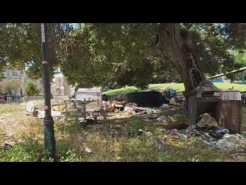 Oakland eases rules on sweeping homeless encampments