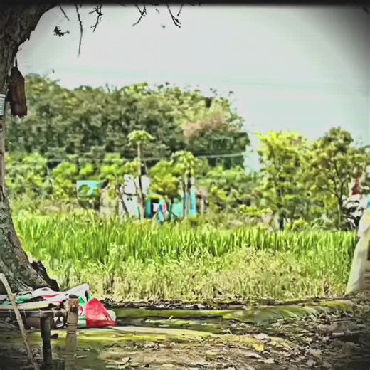 Exploring the Lives of British Royalty and Celebrities